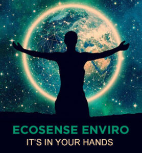 Asset Management And Maintenance - Ecosense Enviro
